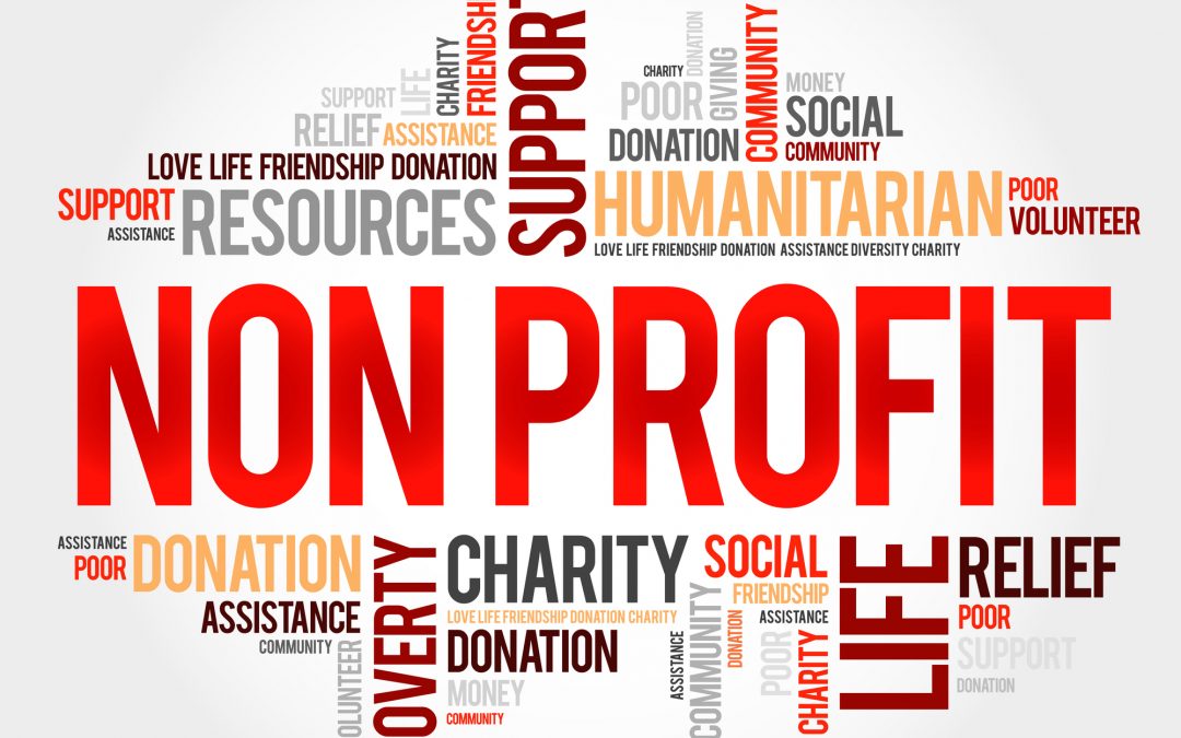 Is a Nonprofit the Best or Only Way to Address the Need You’ve Identified?